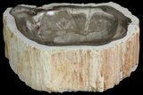 Beautiful Polished Petrified Wood Dish - Madagascar #142800-3